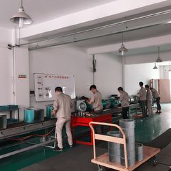 China Zhejiang Lion King Ventilator Co., Ltd.